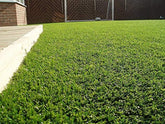 Kuber Industries High Density Artificial Grass Carpet Mat (5 x 10 ft, Green, GrassCT20)